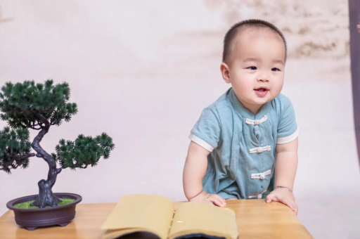 灌南可爱的企鹅宝宝